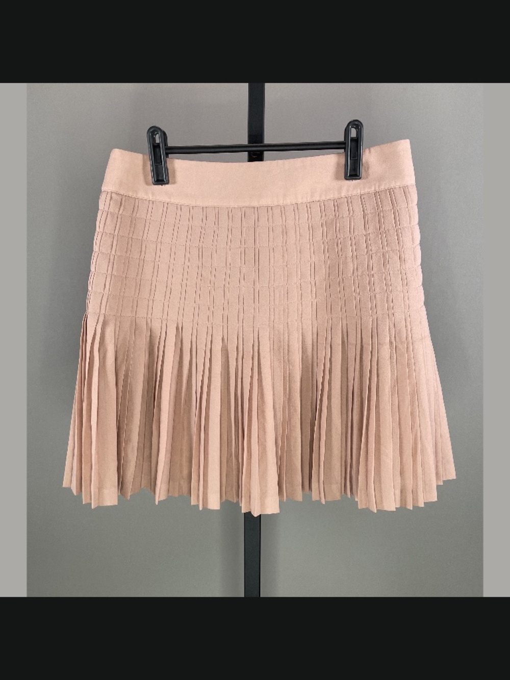 NEW J Crew Skirt Womens 4 rose pink chiffon fit flare pleated preppy coquette